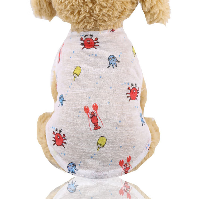 5 Colors Summer Lovely Cartoon - Summer Loving Clothing review and price