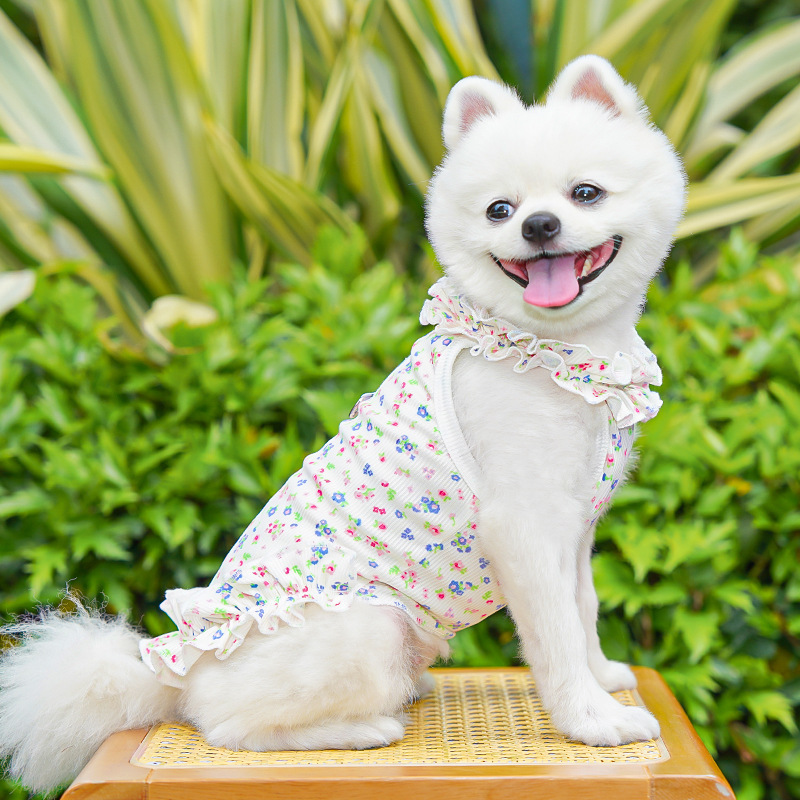 Fashion Floral Dog Dress Dog S - Summer Loving Clothing review and price