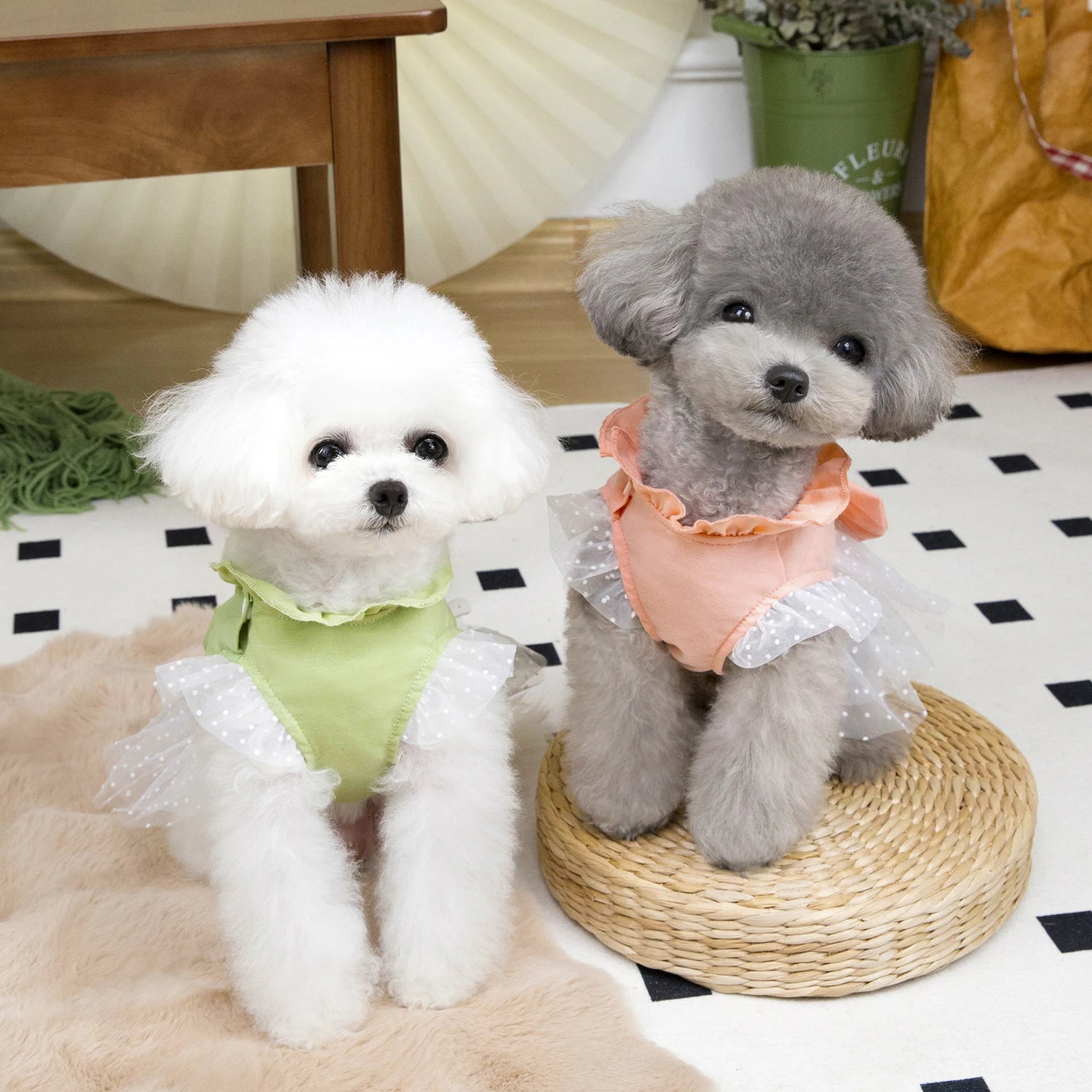 Cute Dog Summer Dress Cat Lace - Summer Loving Clothing review and price