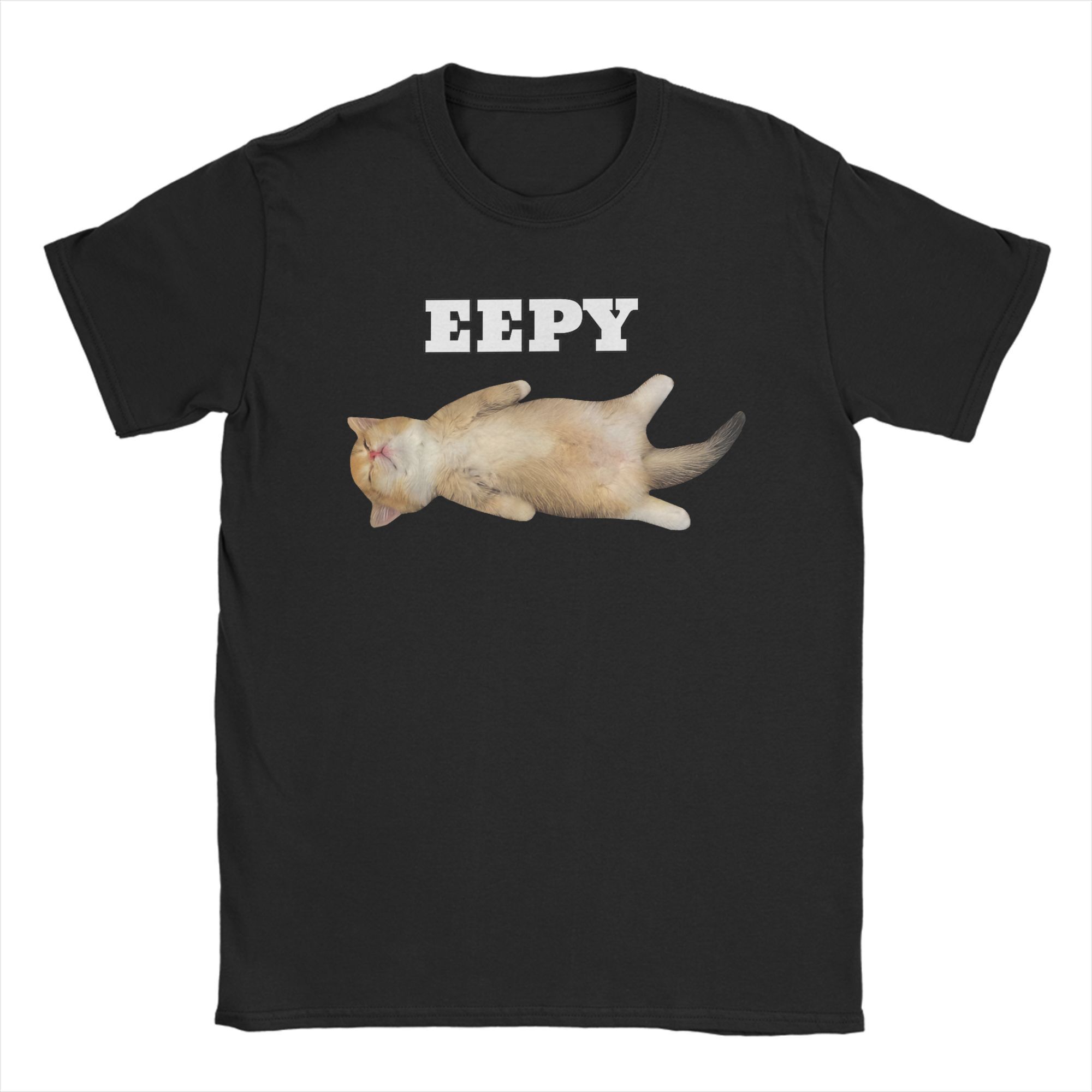 Women T-Shirt Eepy Cat Sleepy  - Summer Clothing Ideas For Women review and price